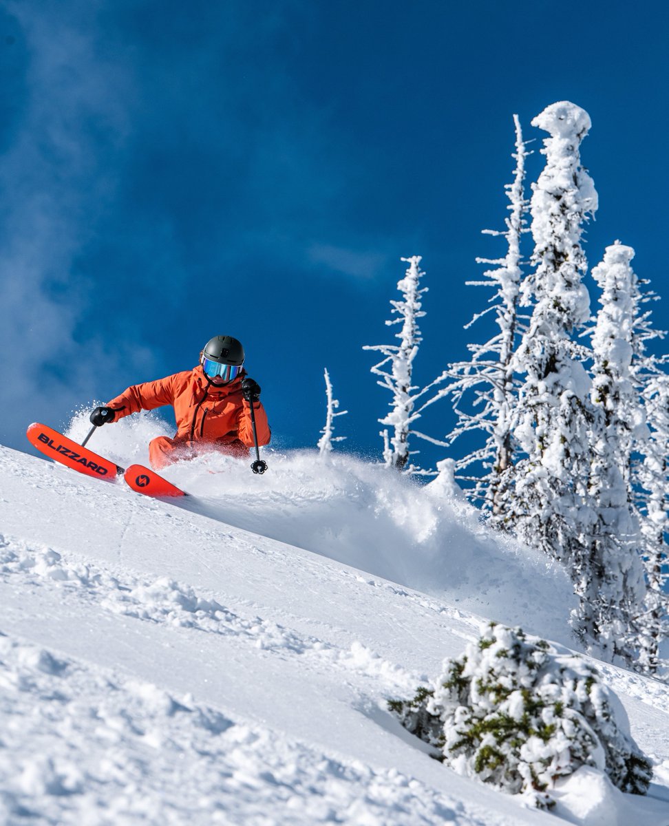 redresort tweet media