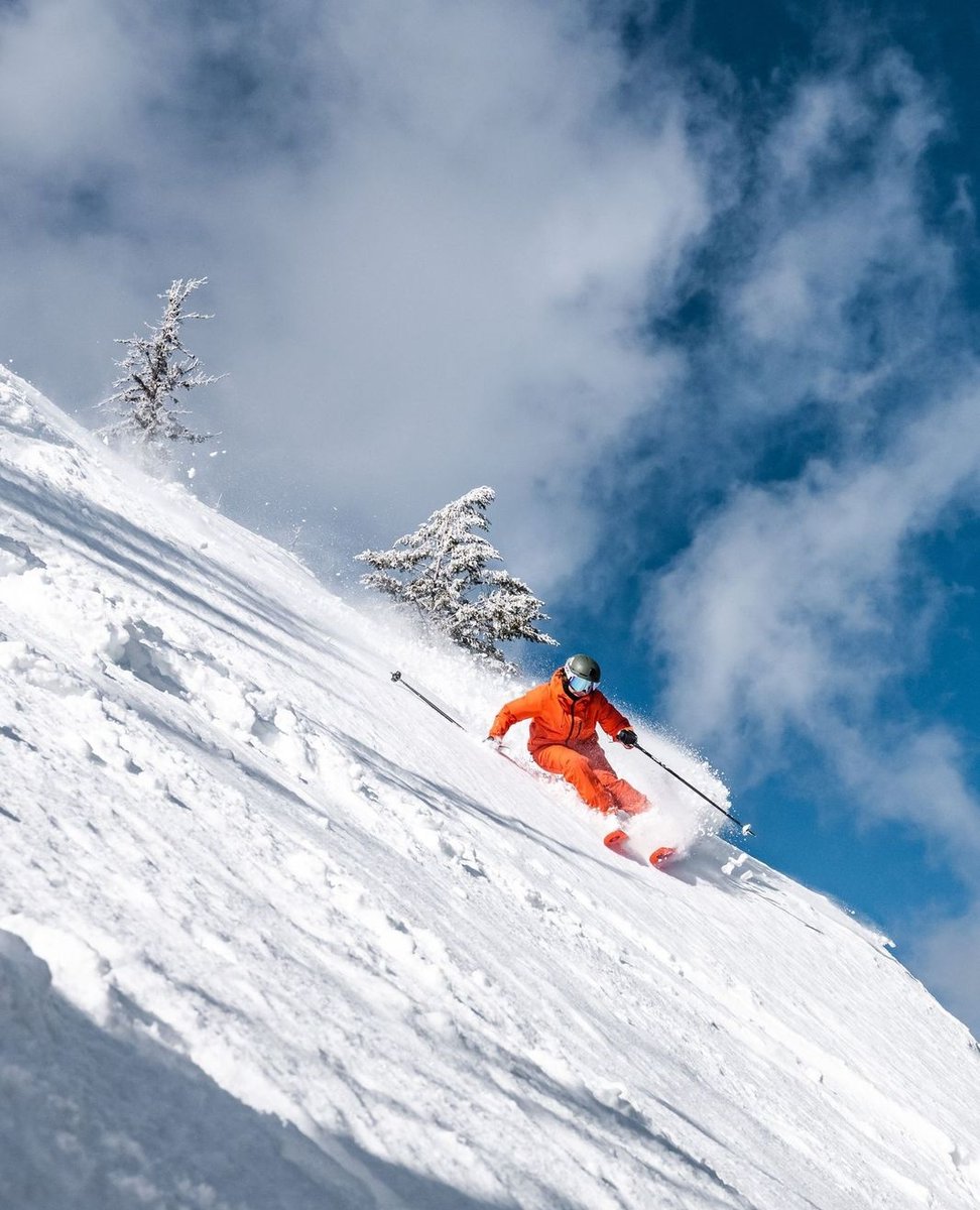 redresort tweet media