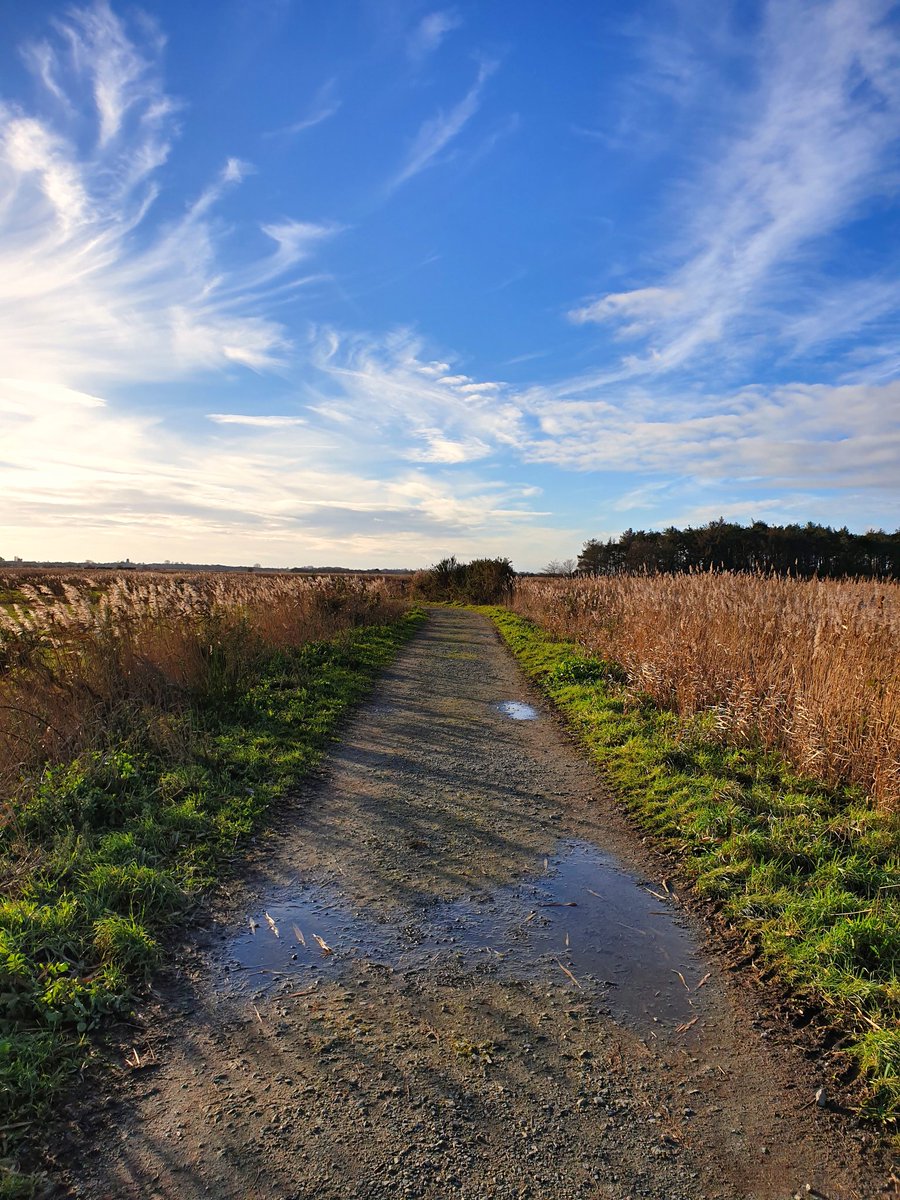 E N J O Y
Walking under #Norfolk's big skies.

#tuesdayvibe
