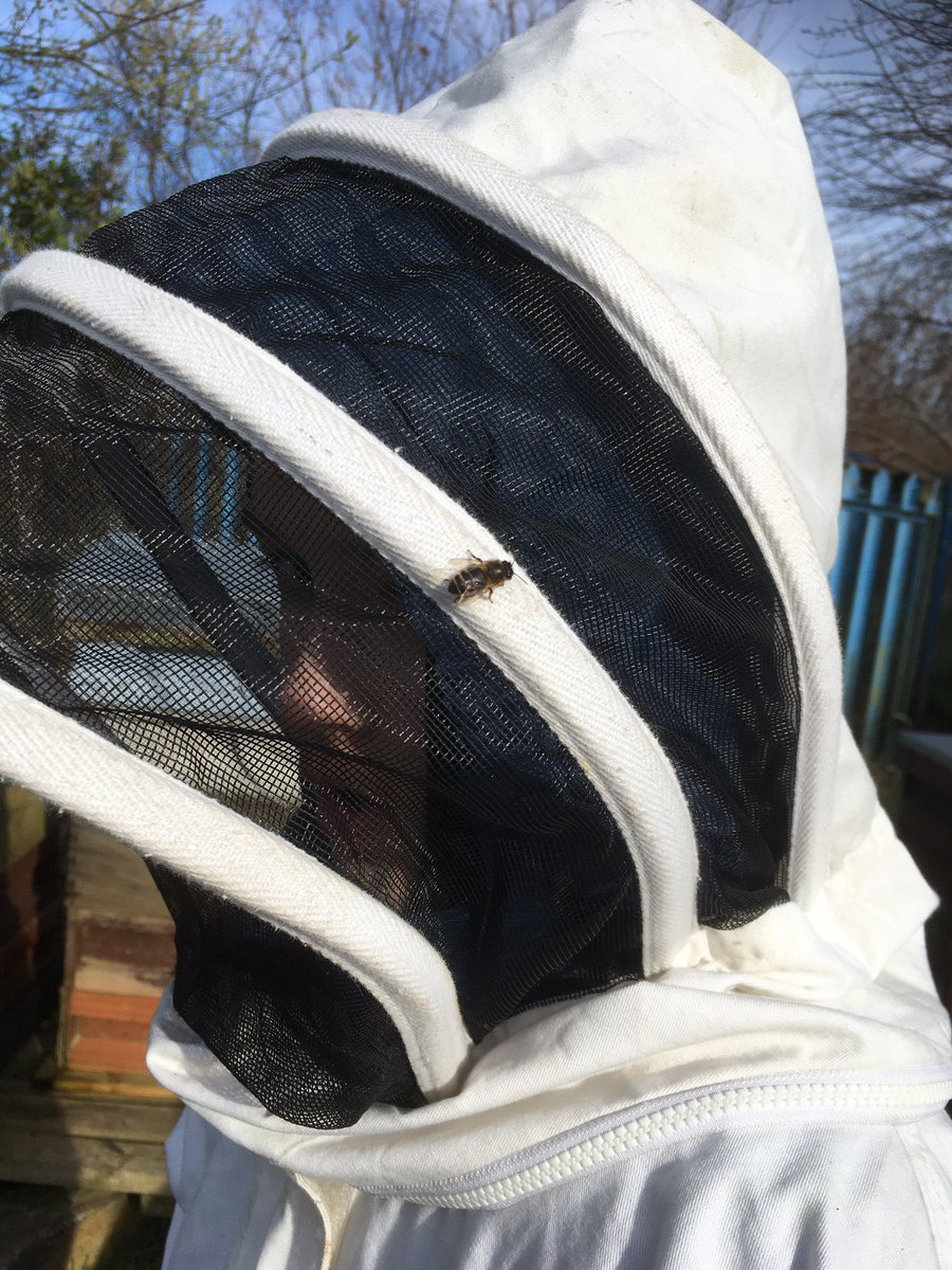 Pure_buzzin's tweet image. Students from @MonkseatonMid are attending a six week alternative education programme with us at @mwconnected 

They have built their first frames and by the end of the course will have assembled a full beehive.