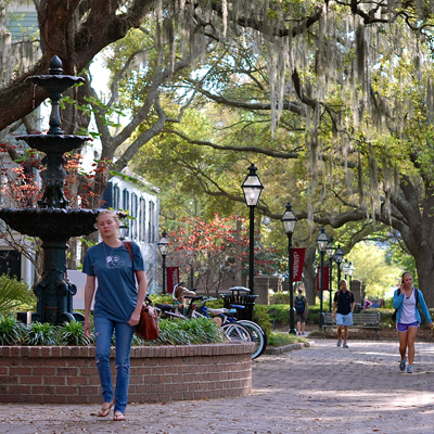 Alan Cooper tweet media