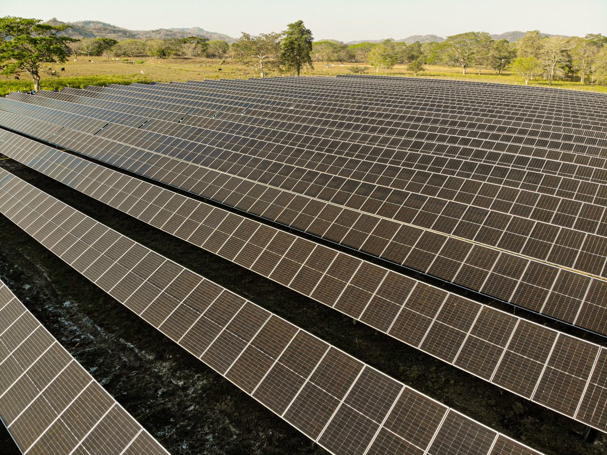 floriventures's tweet photo. Congrats to Flori's company @unergyio  for launching the first mini utility farm. 

This type of projects reduce system losses as it is connected to the distribution network, contributing to cleaner and cheaper energy in Colombia 🌳🌍🌞 https://t.co/o7gZERtEzt