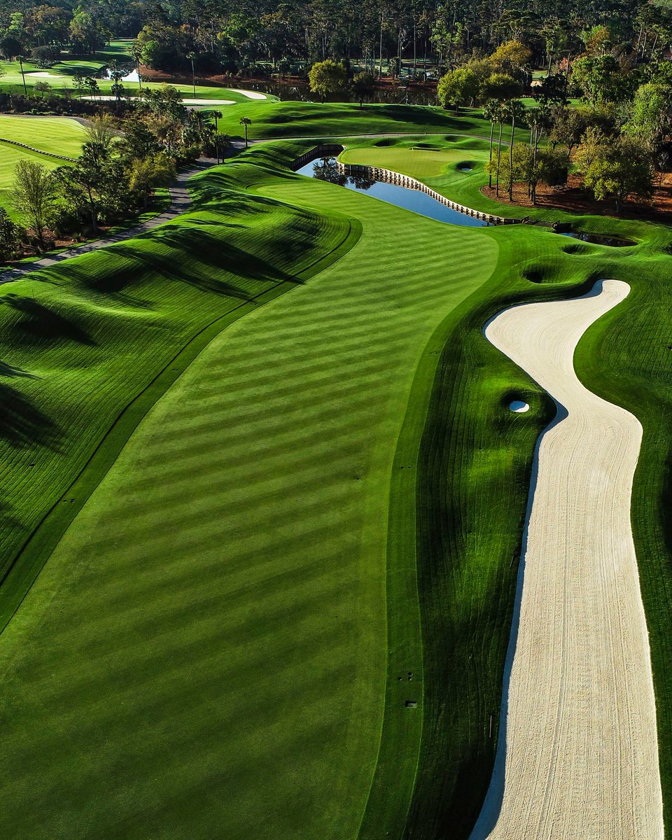 PGATOUR's tweet image. As beautiful as it is treacherous. 

@TPCSawgrass 😍