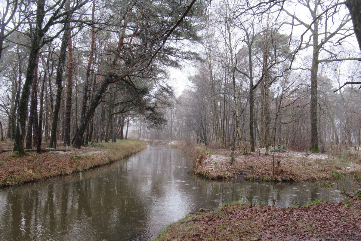 DeBiezen_76's tweet photo. Natte sneeuw #SnelleLoop π§#WaterNatuurlijk π§ https://t.co/fmNEK9vniW