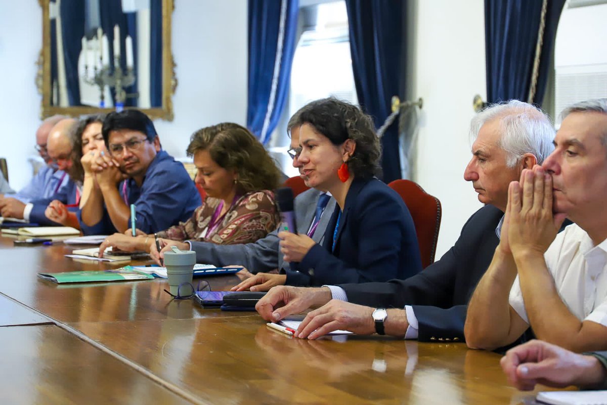 Instituto Forestal tweet media