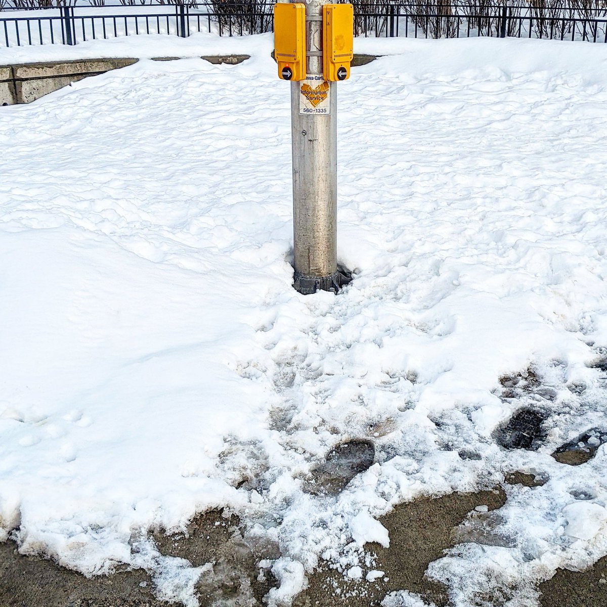 Beg buttons @ SE corner of Kent & Lisgar in downtown #Ottawa on Sunday. Snow + ice build up = impossible to reach for anyone using mobility device. I am able bodied & nearly slipped.

#downtownottawa #centretown #ottawadowntown #ottawacentretown #ottwalk #ottroll #mobility