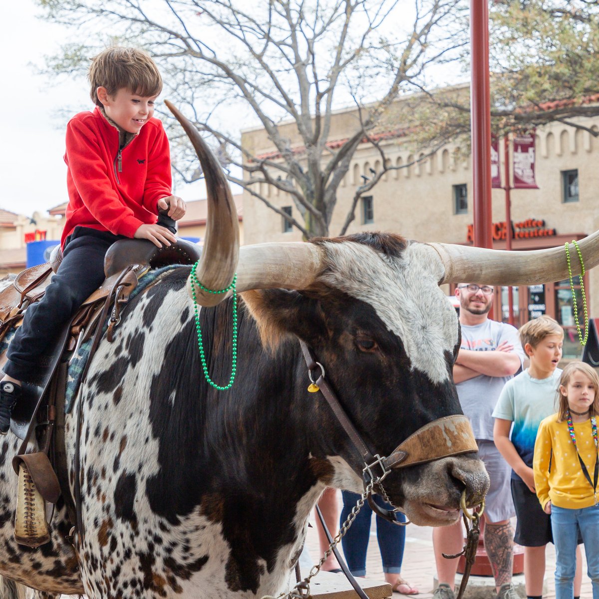 fwsystation's tweet photo. Round up the whole family for Spring Breakaway!
🐂Thursdays | PBR Stockyards Showcase
🏇Every Fri & Sat | Stockyards Championship Rodeos
🌈March 17 | Luck O' the Stockyards
🍻March 17-18 | Yuengling Party on the Lawn
🍀March 18 | Cowtown Goes Green
#SpringBreakaway https://t.co/TAv1Uu41Ke