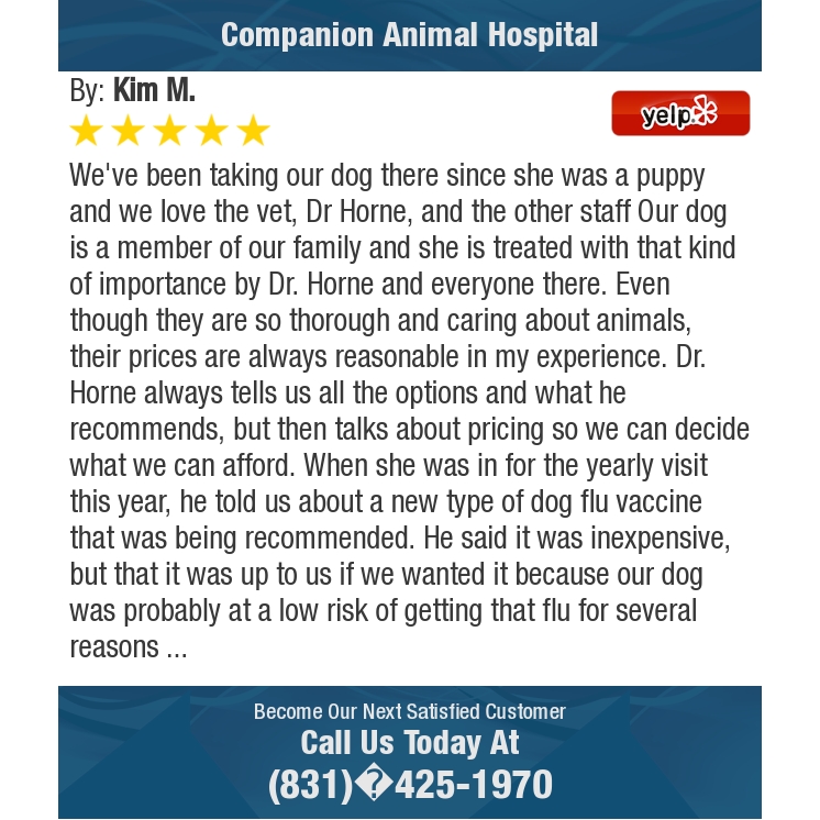 CompanionPetVet's tweet photo. 5 Star: Kim M. "We've been taking our dog there since she was a puppy and..." https://t.co/hqxuw1Mai1 https://t.co/g778IGUSDt