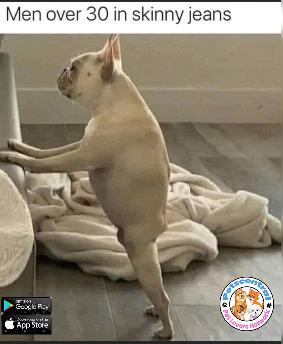 pets_central's tweet image. 🤣 it's true......😅🤣😂🐾🐶