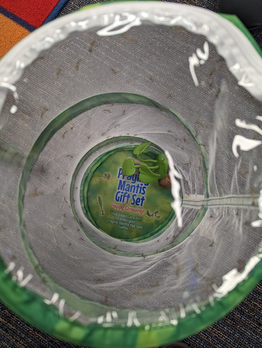 Sandra Mroz tweet media