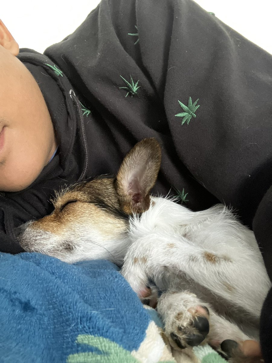 B_LitFoo's tweet photo. I just want to show off my little boy to y’all 🥹💙  #Rhaegar #mylittletargaryen 🐉 https://t.co/M8MLRug0t4