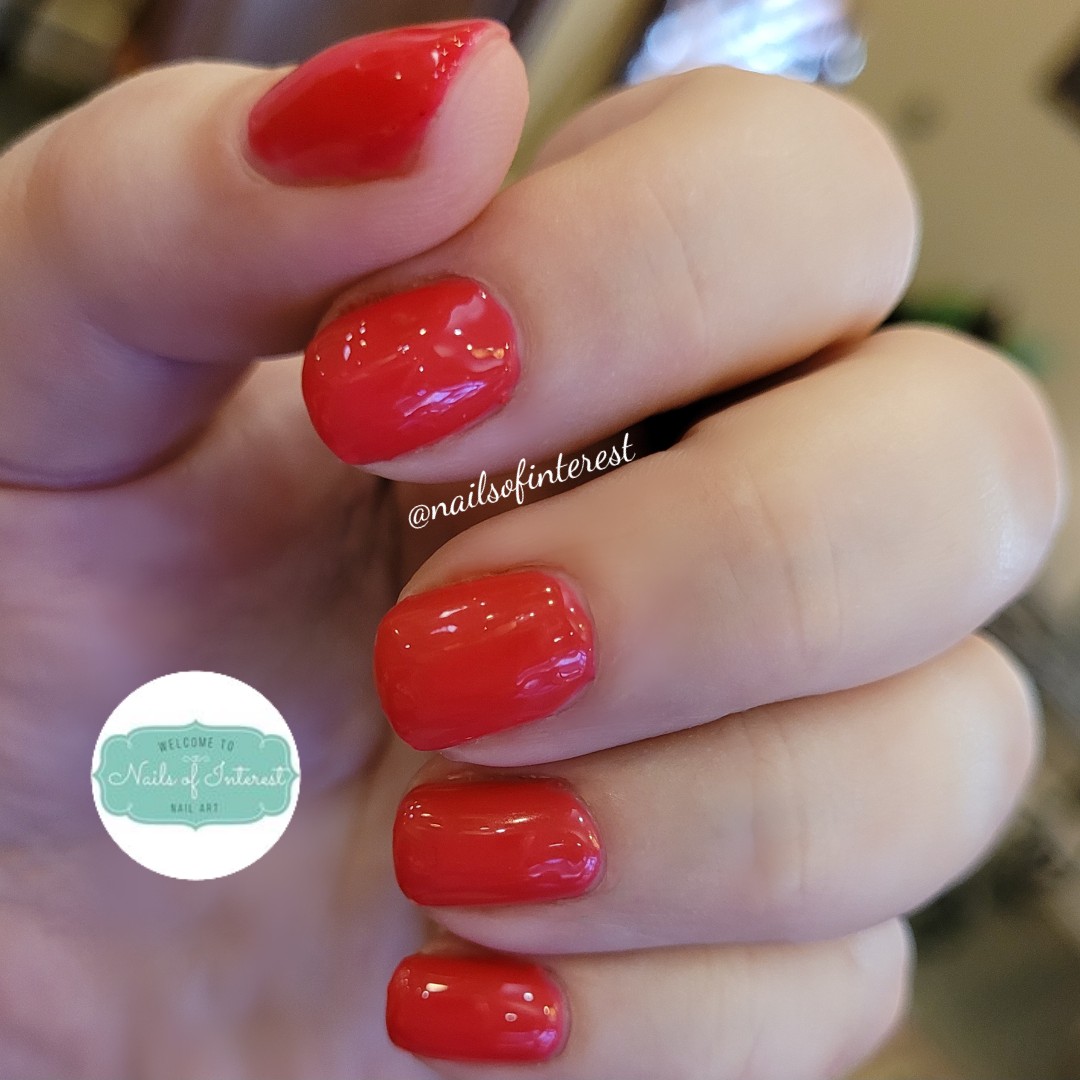 nailsofinterest's tweet photo. A beautiful red gel polish from Light Elegance!! Applied as part of my #thenailhubschool class!!! (Dominate hand) 
 I love this color!!💜💖💜 

#nailschool
#nailsofinterest #shortnails #uñasgel #rednails #rednails💅 #rednails❤️ #redgelpolish #diynails #homemanicure #nails https://t.co/29TcX6PkI8