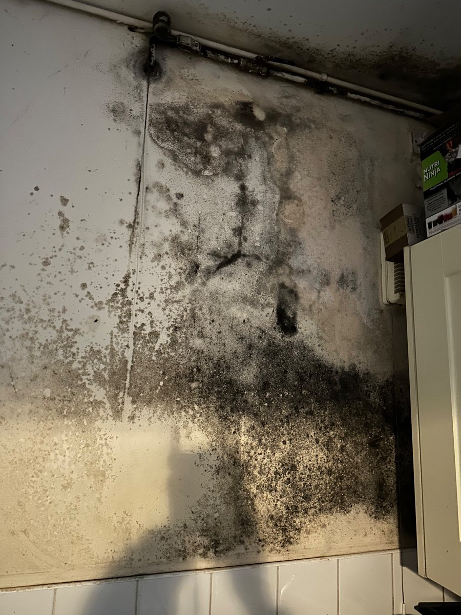 Juliette Mottram (@juliettemottra2) on Twitter photo More pictures of the damp hellhole! <a href="/tmealham/">Trevor Mealham</a> <a href="/debbygiglio1/">Debby Giglio</a> <a href="/BankingResolut1/">Banking Resolution Service</a> <a href="/michaelgove/">Michael Gove</a> @luhc <a href="/BrightonHoveCC/">Brighton & Hove City Council</a> <a href="/Independent/">The Independent</a> <a href="/laity_dave/">Dave Laity</a> <a href="/DaveBrotherston/">Dave Brotherston</a> More pictures of the damp hellhole! <a href="/tmealham/">Trevor Mealham</a> <a href="/debbygiglio1/">Debby Giglio</a> <a href="/BankingResolut1/">Banking Resolution Service</a> <a href="/michaelgove/">Michael Gove</a> @luhc <a href="/BrightonHoveCC/">Brighton & Hove City Council</a> <a href="/Independent/">The Independent</a> <a href="/laity_dave/">Dave Laity</a> <a href="/DaveBrotherston/">Dave Brotherston</a>