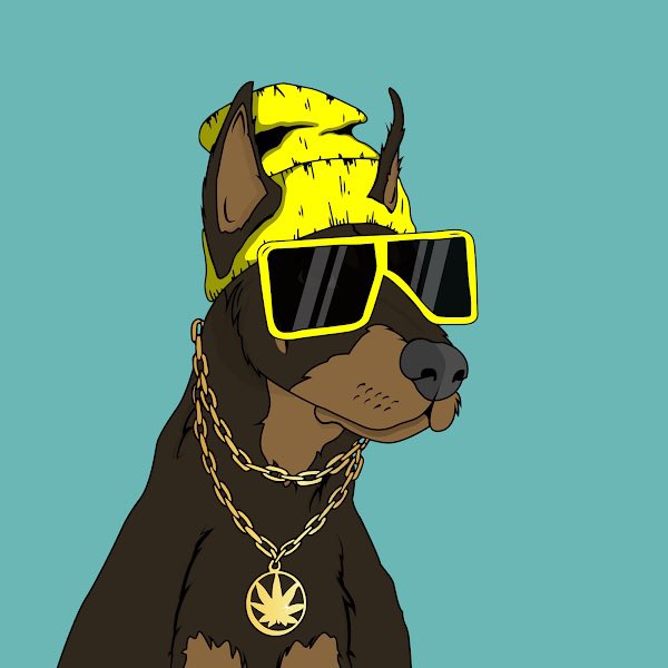 Pavlovski tweet media