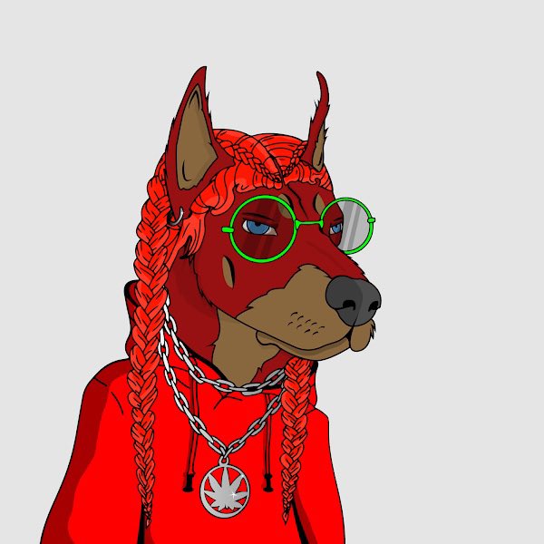 Pavlovski tweet media