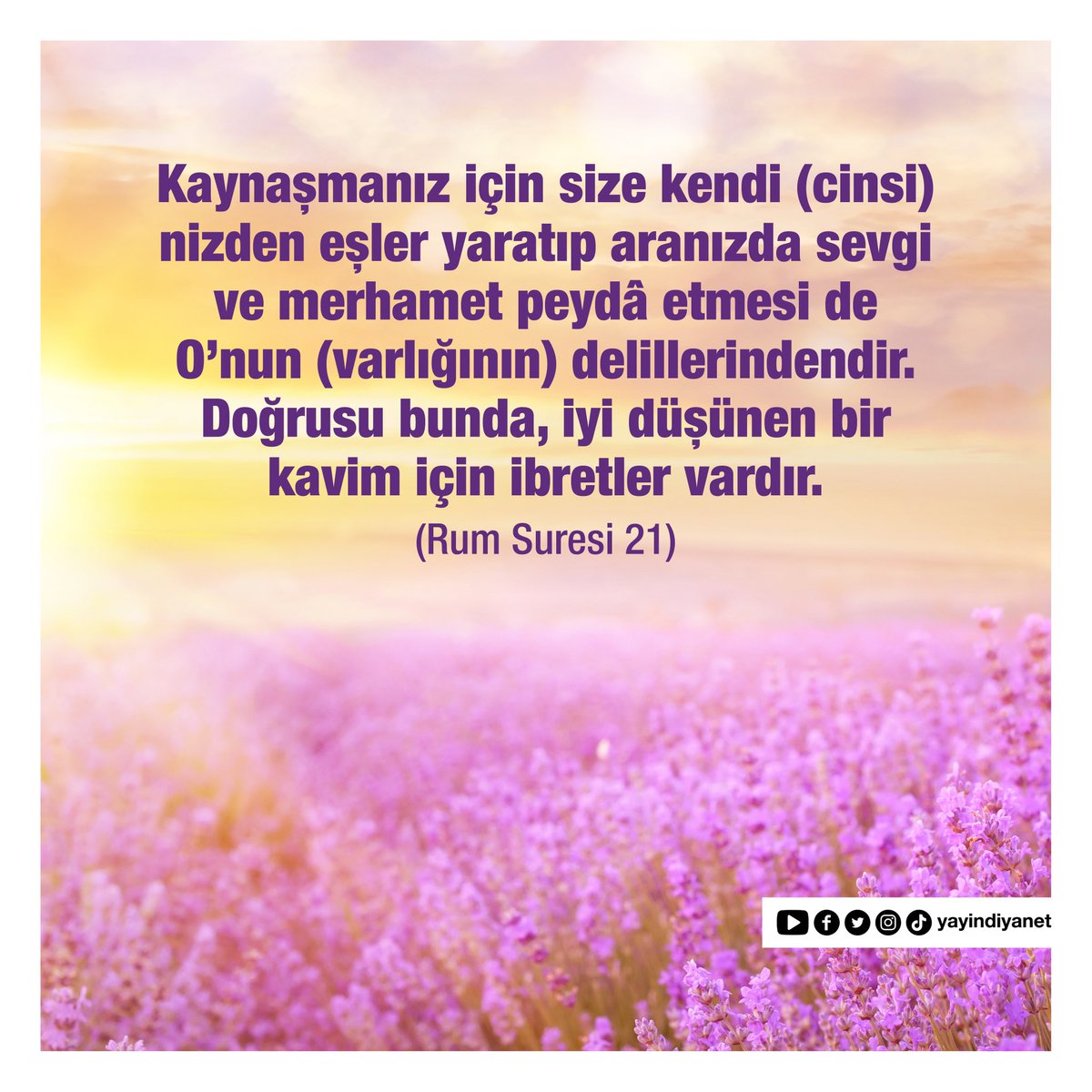 DiyanetDijital's tweet photo. Kaynaşmanız için size kendi (cinsi)nizden eşler yaratıp aranızda sevgi ve merhamet peydâ etmesi de O'nun (varlığının) delillerindendir. Doğrusu bunda, iyi düşünen bir kavim için ibretler vardır.(Rum Suresi 21)
#Diyanet #DiyanetDijital #Eş #Sevgi #Merhamet #KuranıKerim #RumSuresi https://t.co/Od7Ses09nz