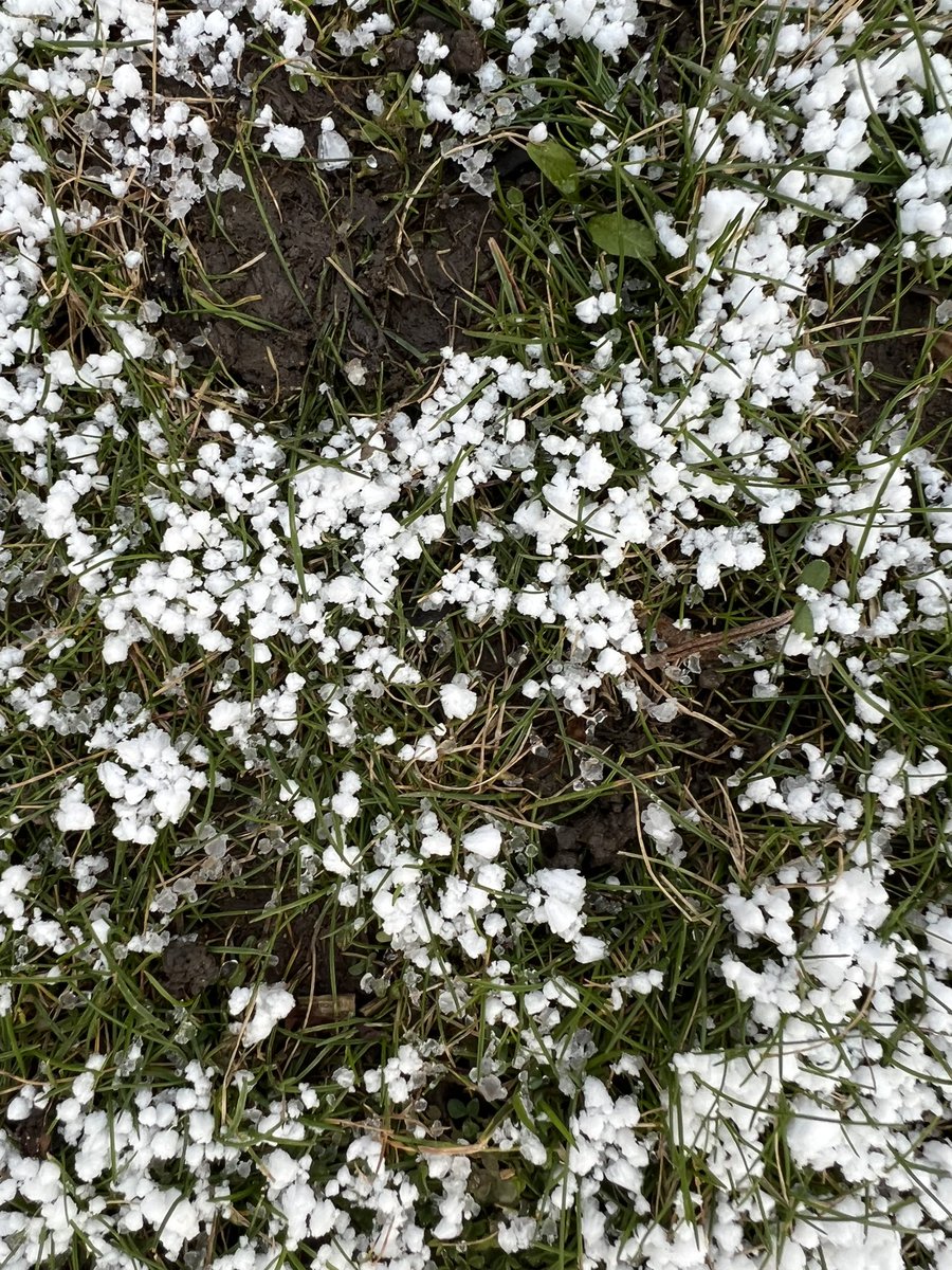 Just had a nice shower of graupel @UstinovCollege <a href="/GeogDurham/">Geography at Durham</a> <a href="/durham_uni/">Durham University</a>