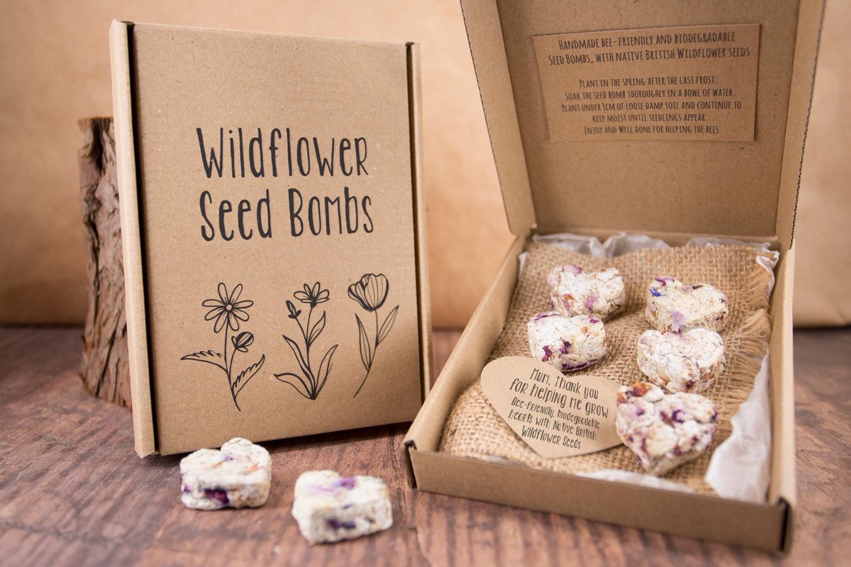 An eco conscious Mother's Day gift idea from my #etsy shop - a Wildflower seed bomb gift box 
 #mhhsbd etsy.me/3kX6IdF
🐻
#mothersday #greengifts #supportsmallbusiness #enwc