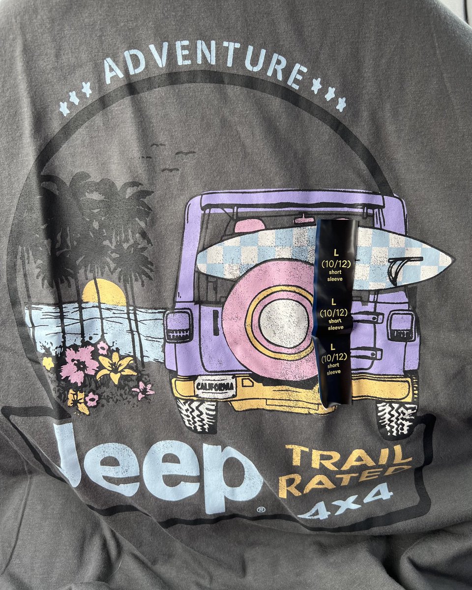 SilverRiotJeep's tweet photo. Happened across this in the kids section of Target. It came home with us. And then I ordered more.. 😍 https://t.co/ozOD3gSRXT