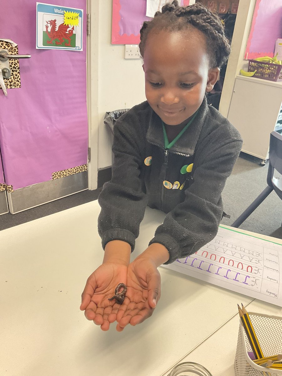 Miss Toward tweet media