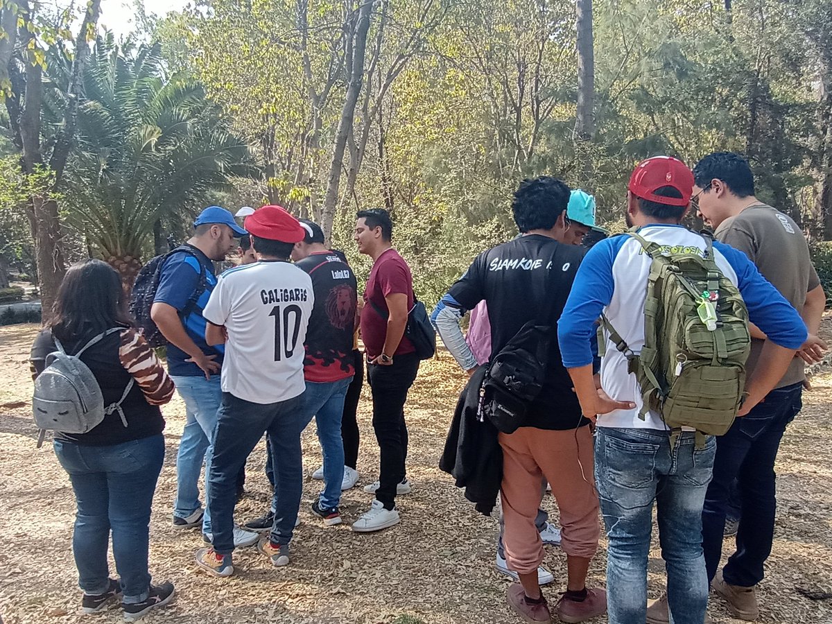 PokePanes PVP tweet media