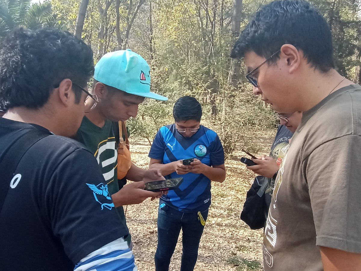 PokePanes PVP tweet media