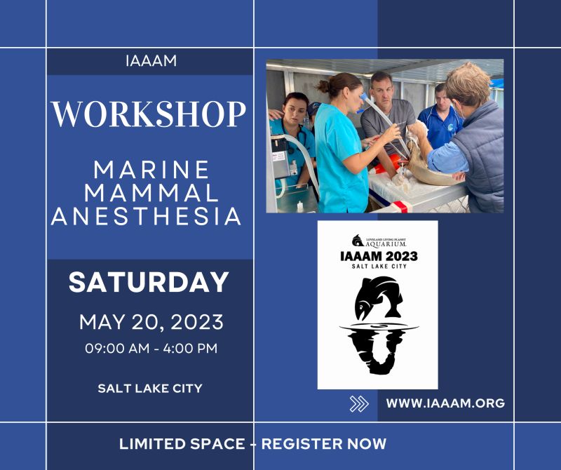 SeaChangeHeal's tweet photo. Dr. Shawn Johnson, @SeaChangeHeal's Director of Innovative Medicine, will be co-leading the Advanced Techniques in Marine Mammal Anesthesia workshop at the #IAAAM conference this year. Register at https://t.co/oYo42NByHu https://t.co/a43F9QLESf