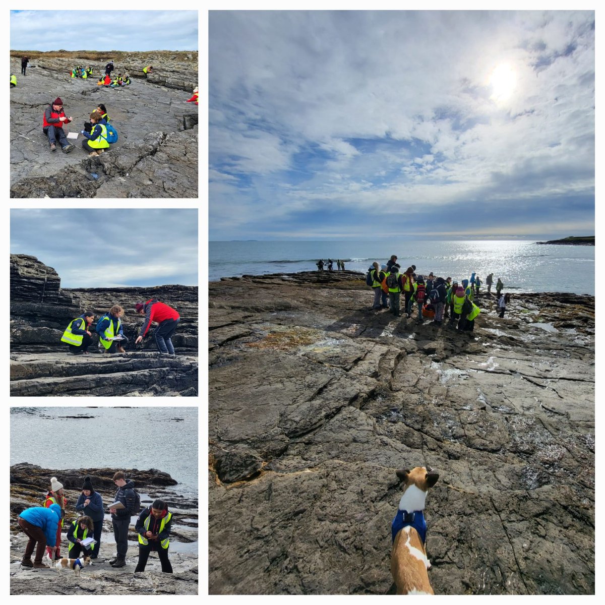 megafloods's tweet photo. Wonderful to be spend one of the days of
#IntGeomorphWeek2023
IN the field with Geography & Geoscience @TCD_Science students
Today we were at the Hook Peninsula, South Wexford, Ireland. #RockCoastGeomorphology
A summary of the 3 main themes explored for the students⬇️ https://t.co/X2IyZt82ct