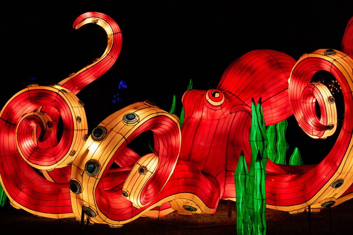 blankparkzoo's tweet photo. TODAY ONLY (3/8/2023) save up to 40% on Wild Lights Festival presented by @MidAm_EnergyCo tickets, with choose your day tickets $15 and any day tickets $20. 🏮🐲🎐

➡️➡️ Any day tickets are only available during today's one day sale. ⬅️⬅️

https://t.co/NdfG6iK4cK #WildLightsDSM https://t.co/JH8g3OqjR2