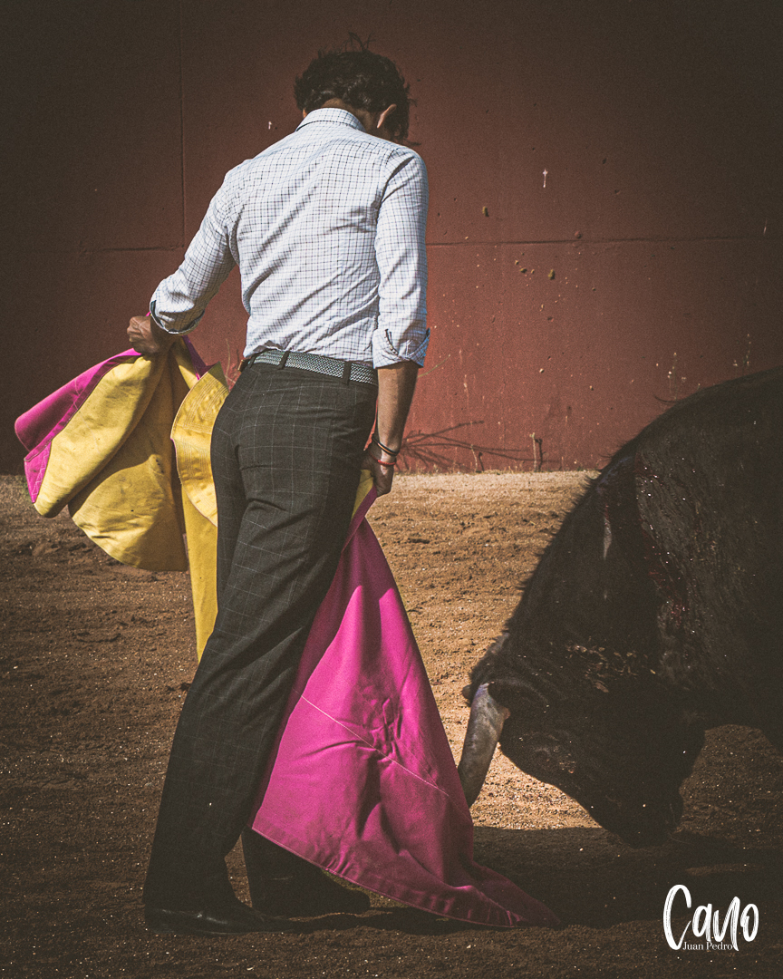 Cuando al vuelo tu capote
pinta verónica al trote
del toro en el redondel... 🎶

🀄️ Jesús 𝗗𝗨𝗤𝗨𝗘, matador de toros
💥 bit.ly/ConSelloPROPIO

🤟 #DarLoMejor