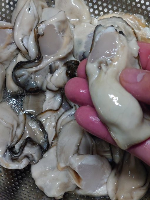 真夜中くそデカ牡蠣調理おじさん部 