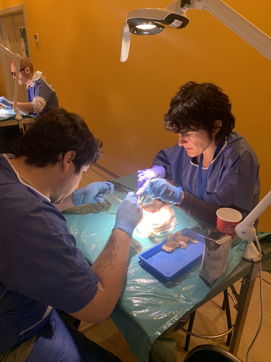 Hemos disfrutado la 11 ed. #TxThiel23 en cadaver Thiel; explante cirugía banco e implante. Gracias por hacerlo posible <a href="/CursoTxThiel/">TxThiel26</a> <a href="/CarmenGEnguita/">Carmen GEnguita</a> <a href="/anaarribasdiaz/">ana</a> <a href="/Hospital_FJD/">Fundación Jiménez Díaz</a> <a href="/ONT_esp/">Organización Nacional de Trasplantes</a> <a href="/BDGuezGil/">Beatriz Domínguez-Gil</a> <a href="/CVA_DrPeset/">CVADrPeset</a> <a href="/GoranElena/">Roxana Elena Goran</a>