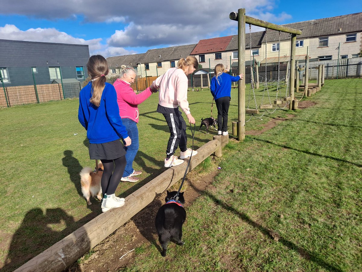 Michell61929205's tweet image. Friendship comes along in the most fun ways! Therapets helped these girls to  balance on the trim trail, they were great fun and some lovely reading/social interactions thereafter 🙏 #transitionplanning @LethamPSPerth @Balhtpkc #springsunshine