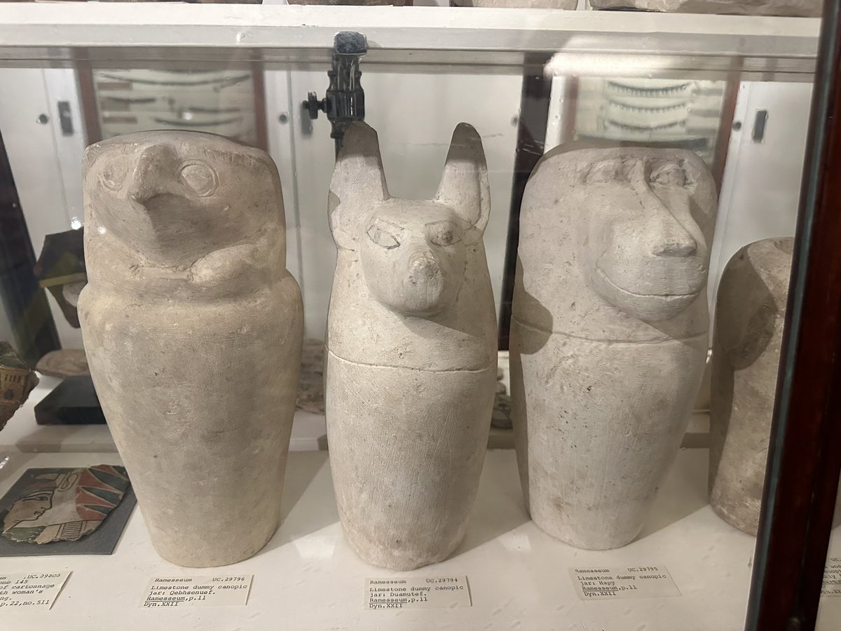 Miss Horrigan tweet media