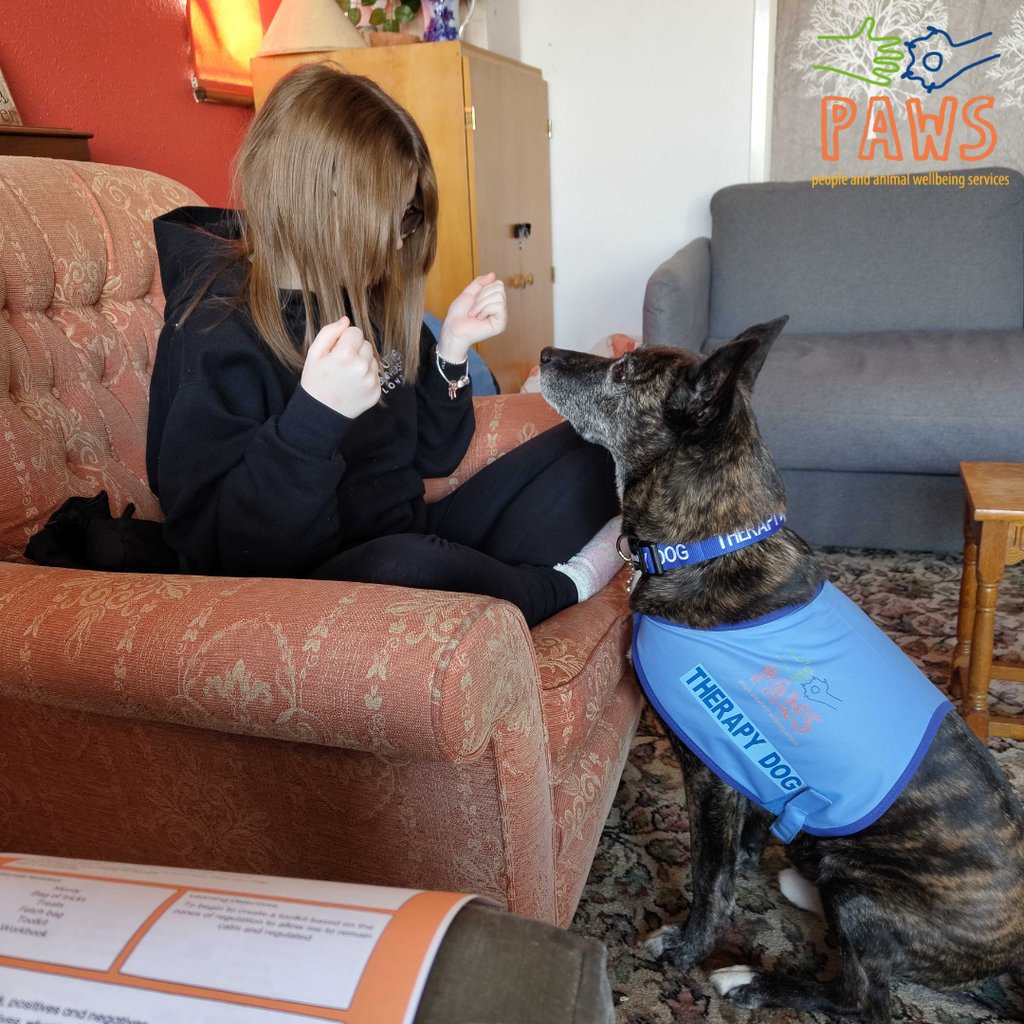 One of our newest PAWS Dogs is Monty! He is doing such an amazing job so far!

#animalassistedtherapy #dog #schooldog #animaltherapy #picoftheday #dogs #professionals #counsellors #educators #therapist #therapy #neurodivergence #sen