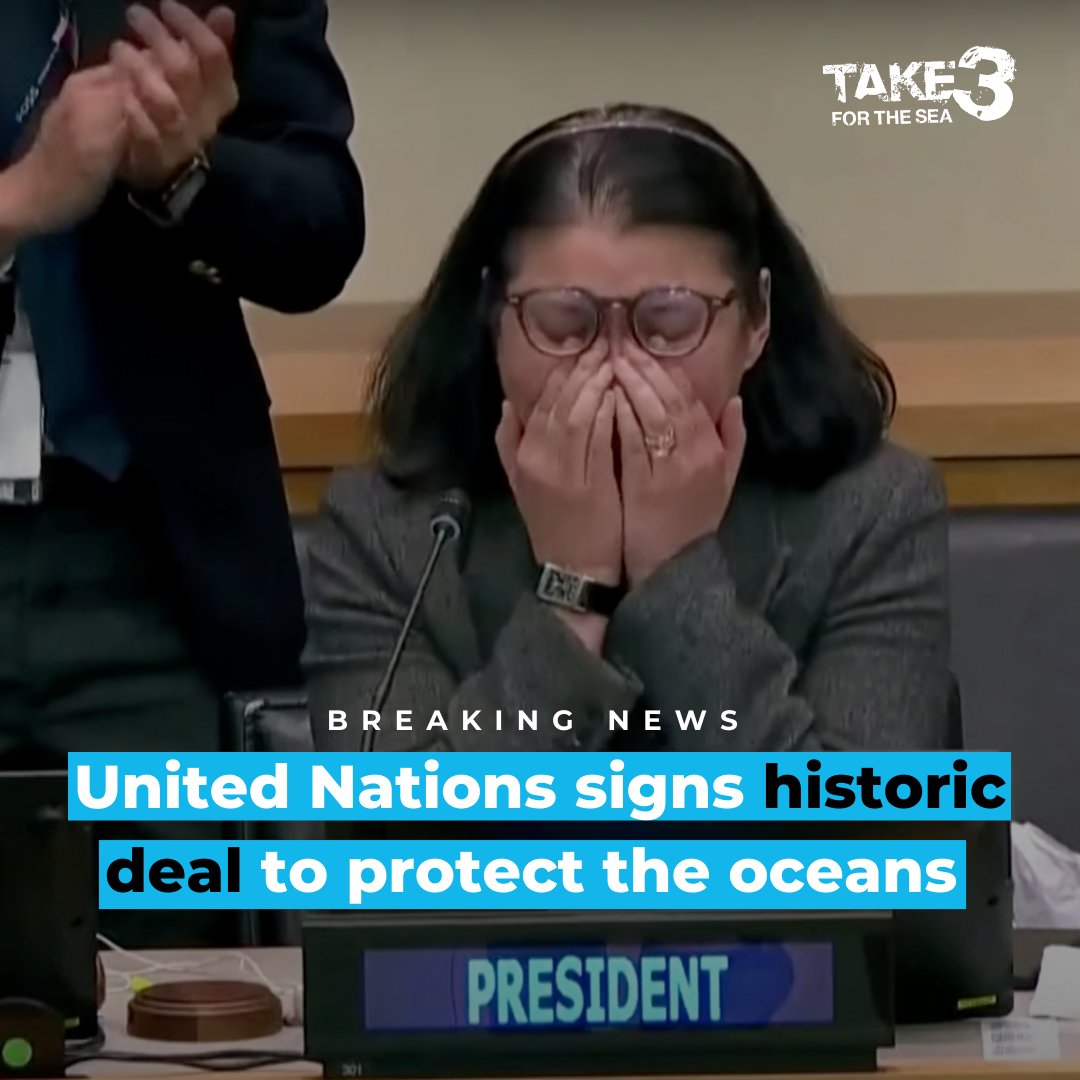 After two decades of discussion and negotiation, the 193 member states of the United Nations have finally agreed on a legal framework to protect the ocean! For the full story and to watch the emotional video, head to take3.org/united-nations… #take3forthesea