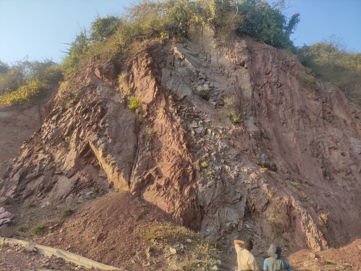 MitthuDhali's tweet photo. 2nd day of field work, strike slip faulting has resulted shear zone in the lower siwalik rock. Right lateral strik slip fault, fault scarp, NW #Himalaya, #Activefaults https://t.co/Wdefl0Vlif