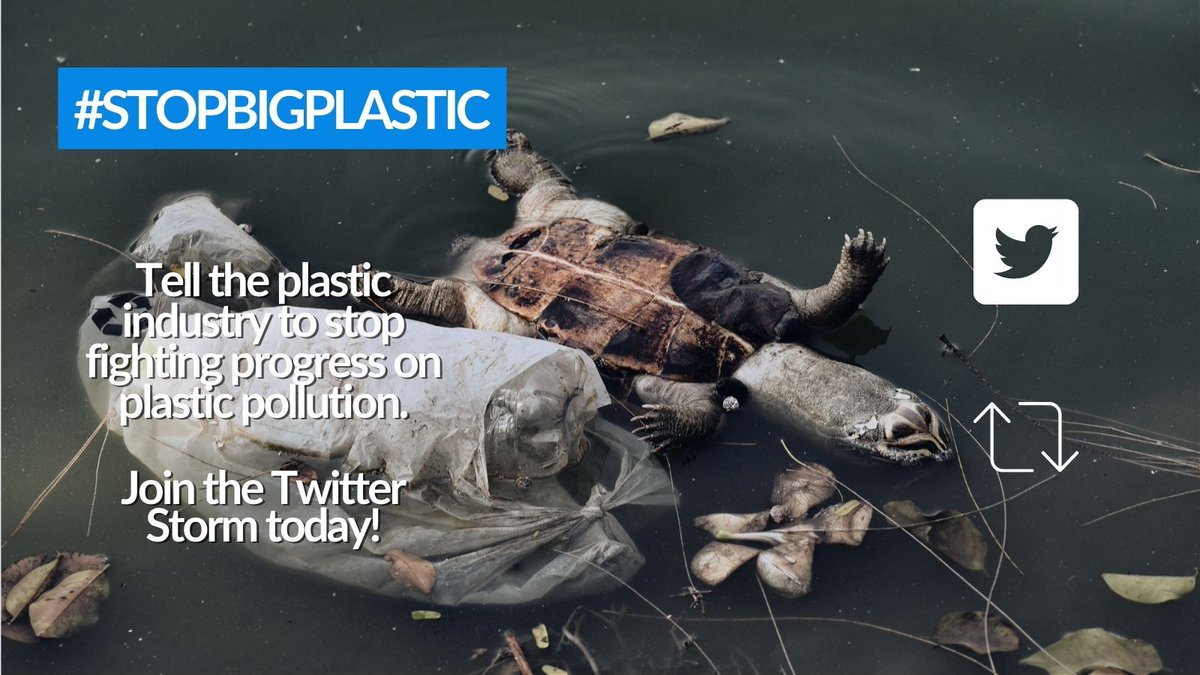 DavidSuzukiFDN's tweet photo. Help #StopBigPlastic! Join the #TWITTERSTORM now. RT to tell Canada's biggest plastic producers @Dow_Canada @ImperialOil @NOVAChemicals we don’t support their lawsuit to stop necessary regulations on plastic. We want to see healthy and thriving oceans 🐢🐟, not this 👇🏽 https://t.co/I7CMr0QJ5Y