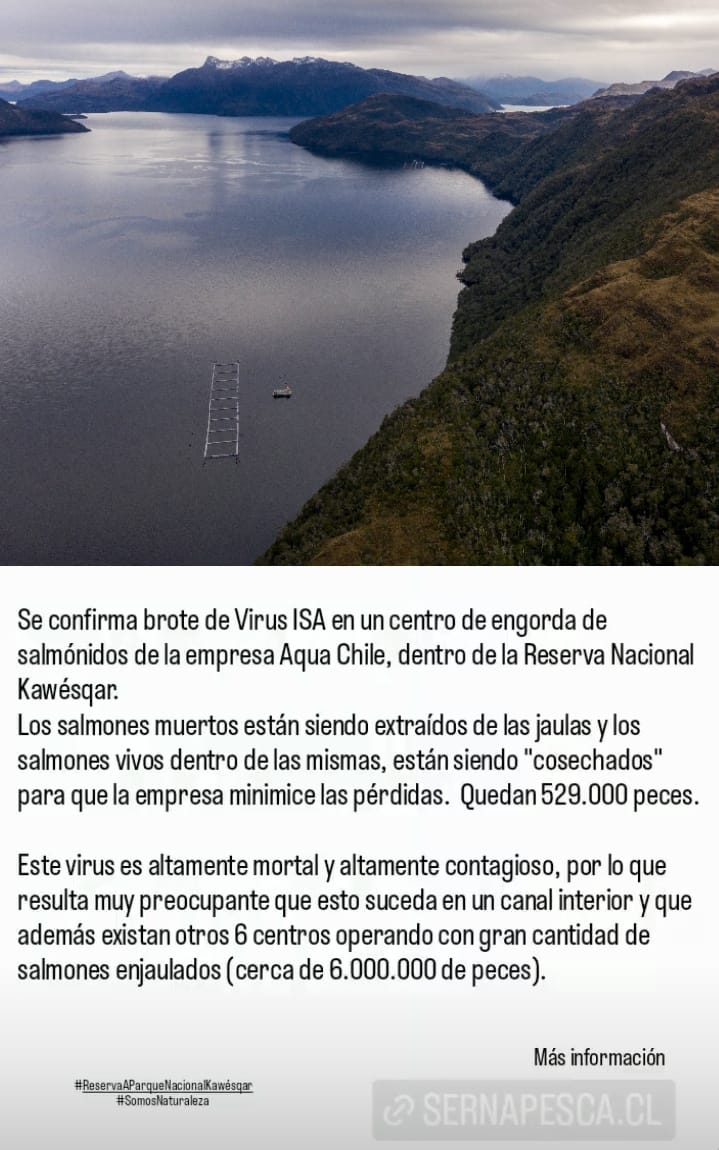 Exigimos que la reserva Kawésqar sea reclasificada a Parque Nacional Antes de que sea tarde!
<a href="/alexmunozw/">Alex Muñoz Wilson</a> <a href="/Maisa_Rojas/">Maisa</a> <a href="/GabrielBoric/">Gabriel Boric Font</a> <a href="/max_proano/">Maximiliano Proaño Ugalde</a>  <a href="/RewildingChile/">Fundación Rewilding Chile</a> <a href="/NG_PristineSeas/">National Geographic Pristine Seas</a> <a href="/FIMA_Chile/">ONG FIMA</a> <a href="/ladera_sur/">Ladera Sur 🌎</a> <a href="/GreenpeaceCL/">Greenpeace Chile</a> @ECOCEANOS <a href="/VamosFueguinos/">Alejandro Núñez Guerrero</a> <a href="/AguanteNatales/">Aguante Natales!</a> <a href="/DefendamsChiloe/">❗️Defendamos Patagonia❗️</a>