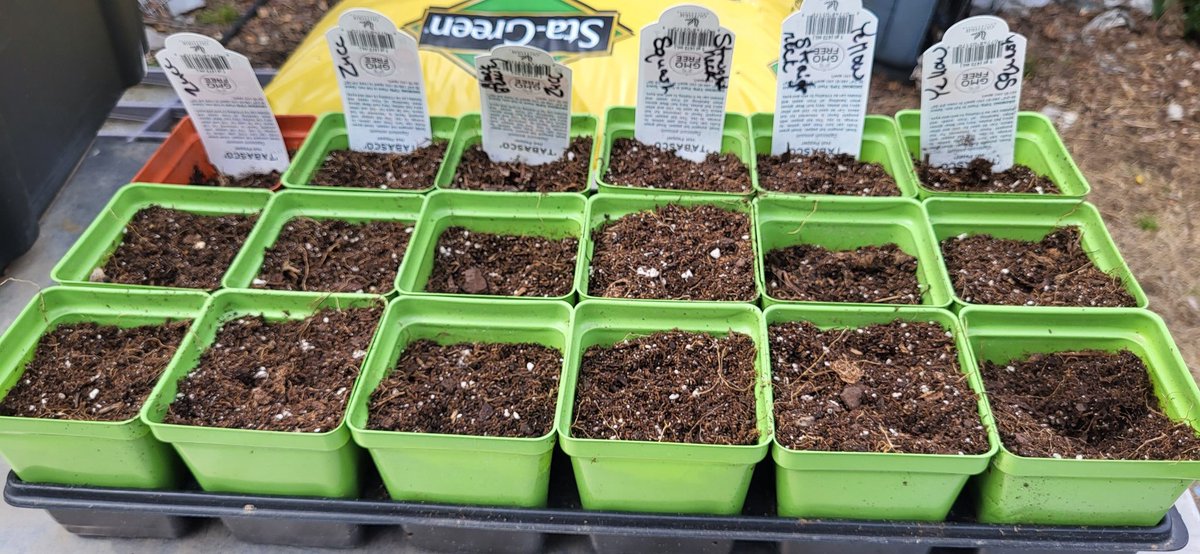 19bigsister72's tweet photo. @Boomilu72 @brysongray I got up, fed the dogs, hog and chickens, and started my garden seeds. So far I have okra, yellow squash, and Zucchini. https://t.co/Humk0q1BTD