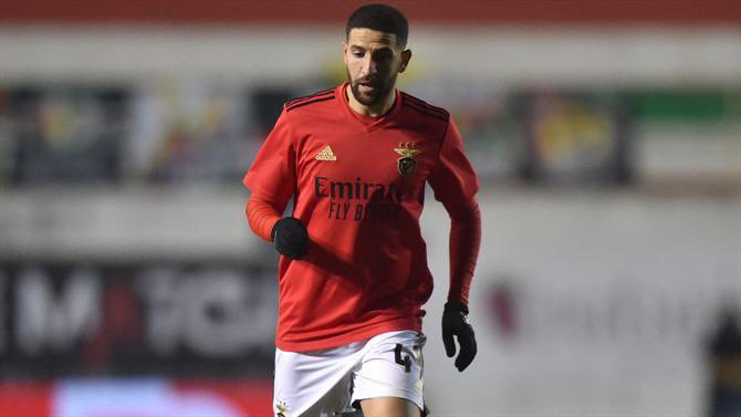 Adel Taarabt 🗣️: “As pessoas dizem-me que joguei em Milan e Tottenham, mas o Benfica é outro nível. Quando cheguei ao Benfica, vi os rapazes, com 15 anos, e fiquei chocado. Antes do treino no ginásio, depois do treino no ginásio.”