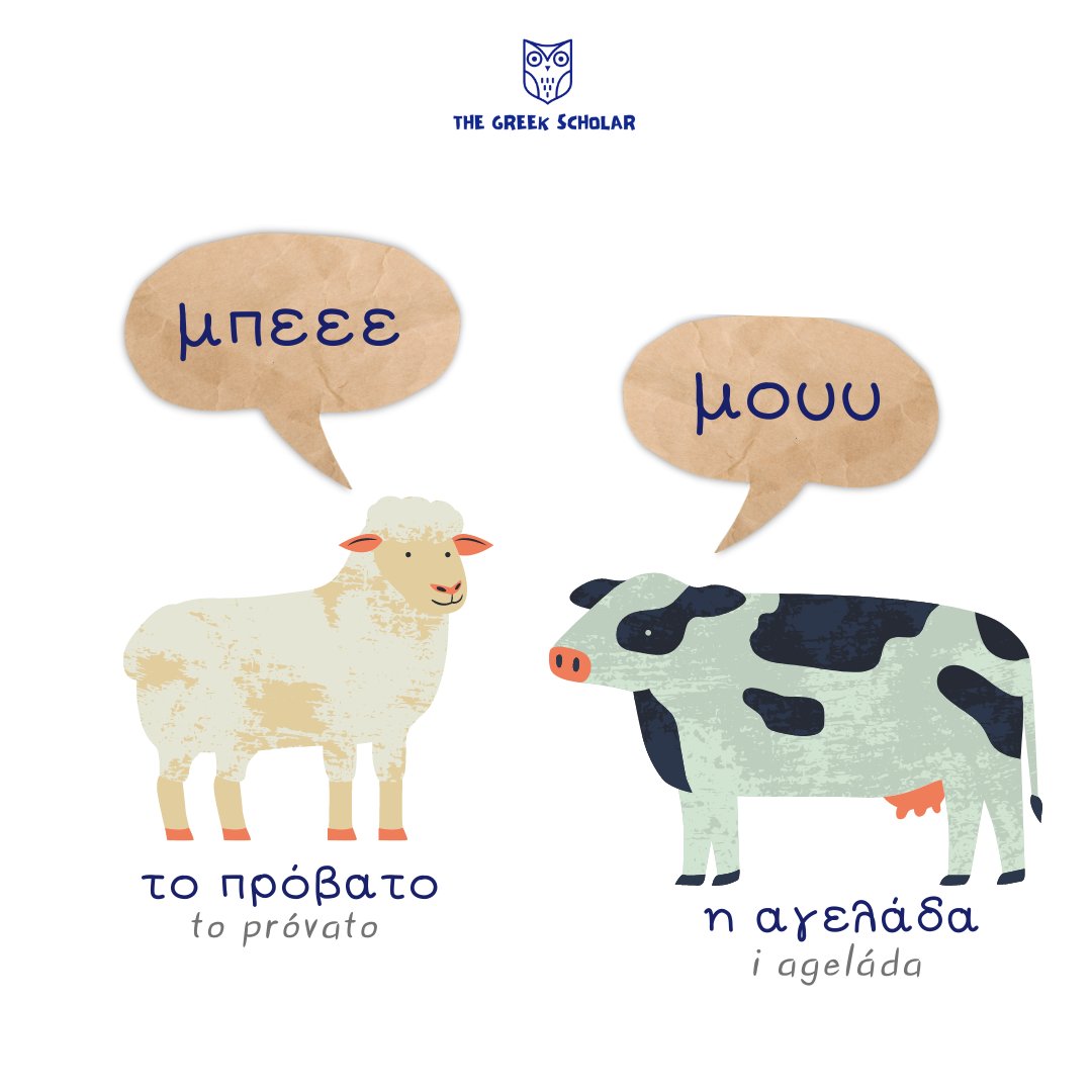 How animals sound in your language?
#dogs #doglife #learngreek #greeklanguage