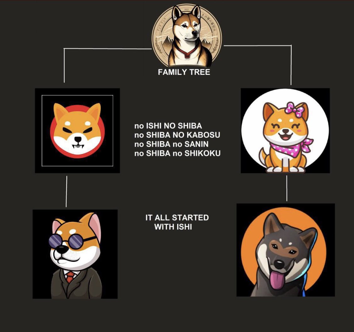 ishiinutoken's tweet photo. There will be a time weโre everyone will come back weโre it all started $ISHI $SHIB $SHIKI $SHI https://t.co/3R2XVYgyK9