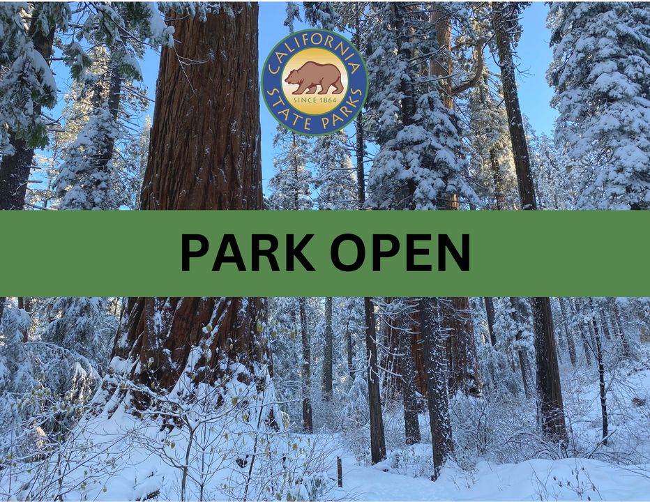 Calaveras Big Trees tweet media