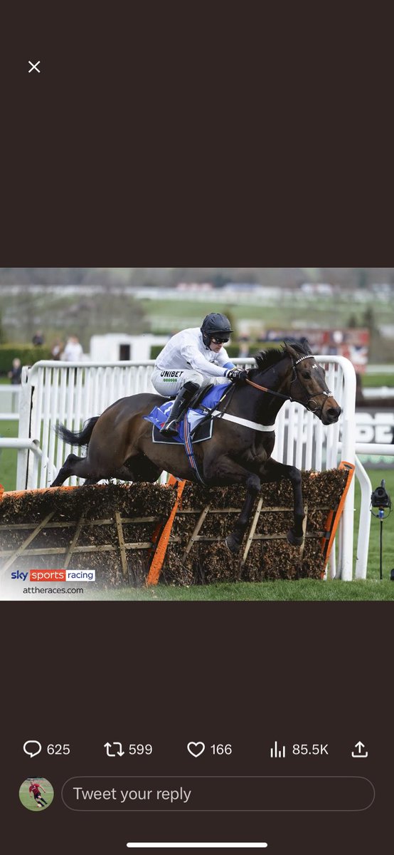 Jakeabell_'s tweet photo. @AtTheRaces @UnibetRacing https://t.co/teIZGBRK78