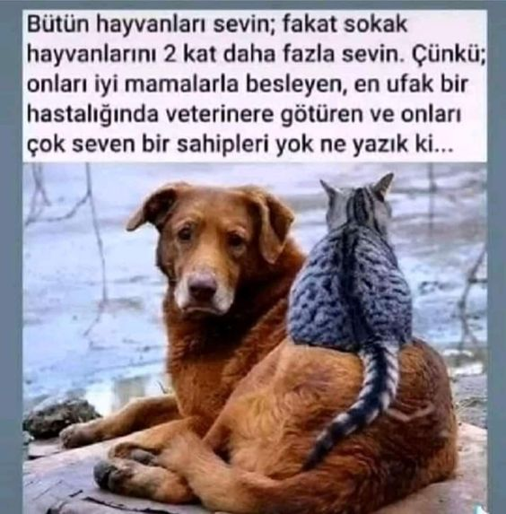Akinci171717's tweet photo. https://t.co/P7iUJSr3Dz