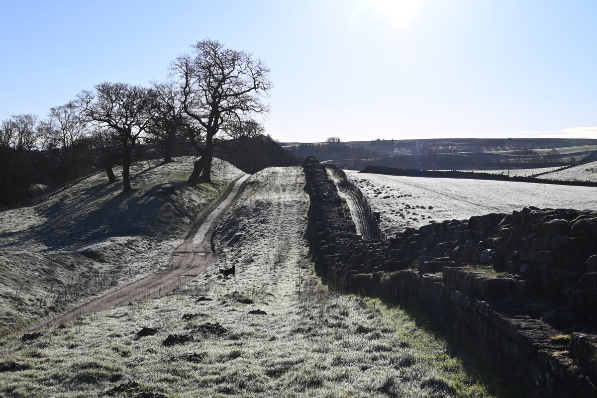 willowford's tweet photo. Hadrian's Wall east and west from the farmhouse at Willowford Farm on a Friday March morning https://t.co/B20vGVIjHe