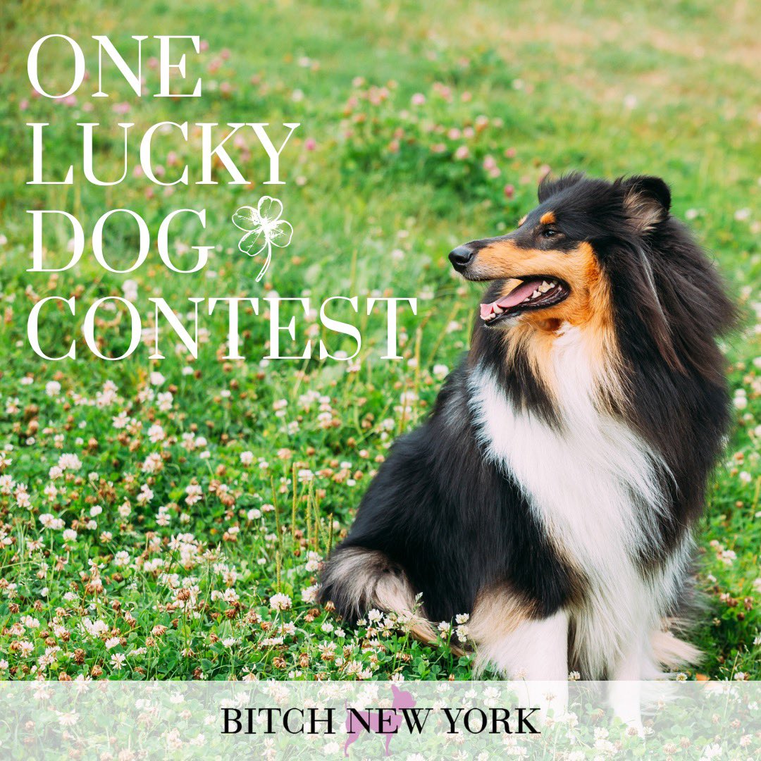 Want to WIN a prize worth over $500 for you and your dog!? 🤩🐶

We are spreading puppy love around the country in search of One Lucky Dog deserving of a prize pack full of their favorite things!🍀
 
Head to bitchnewyork.com/pages/one-luck… for more info.