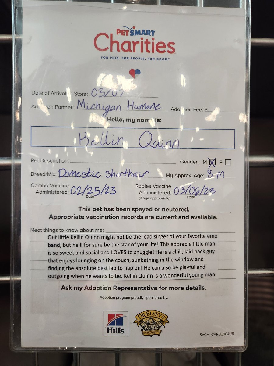 i was looking at the  cats to adopt and there was a cat named kellin quinn 😭 THE BIO IS TAKING ME OUT