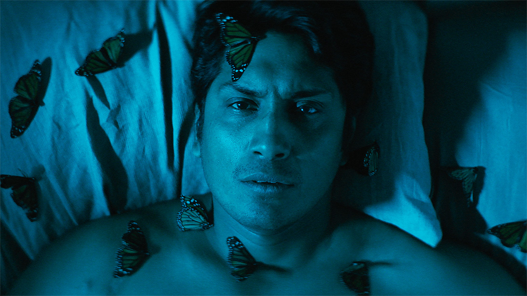 Son of Monarchs (@sonofmonarchs) / Twitter